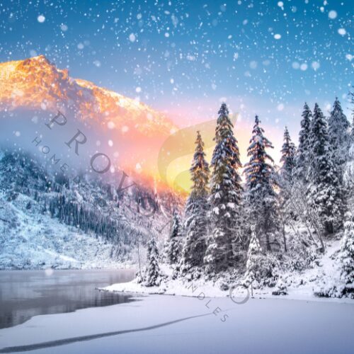 Vonný vosk VÁNOČNÍ LES