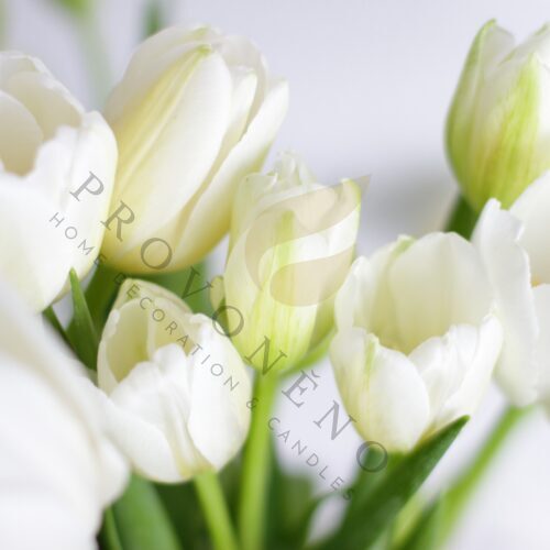 Vonný vosk WHITE TULIP