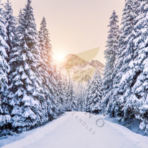 Čajové svíčky BOROVICOVÝ LES