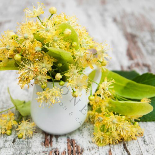 Vonný vosk LIPOVÝ KVĚT