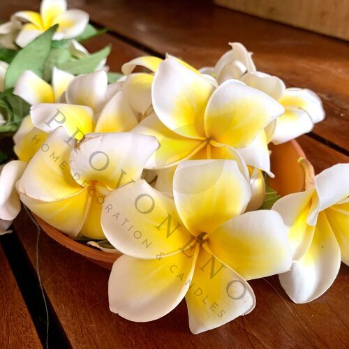 Vonný vosk WHITE PLUMERIA